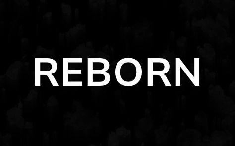 REBORN VIETNAM
